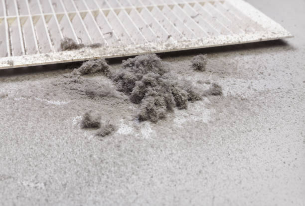 Best Best Air Duct Cleaning Company  in Oakland, TN