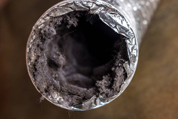 Air Duct Mold Removal in TN